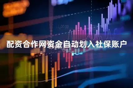 配资合作网资金自动划入社保账户
