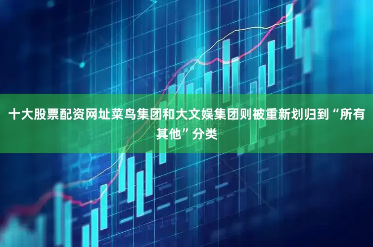 十大股票配资网址菜鸟集团和大文娱集团则被重新划归到“所有其他”分类